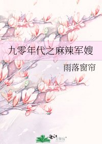 九零年代之麻辣军嫂